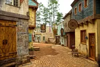 Пазл Салем СШA