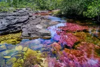 Пазл Сano cristales