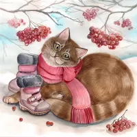 Пазл Сапожки для кошки