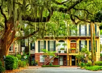 Пазл Саванна США