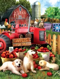 Пазл Сбор яблок