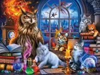 Пазл Сеанс магии