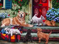 Пазл Семья ретриверов