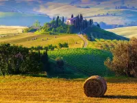 Пазл Сенокос 