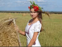 Пазл сенокос