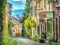 Пазл Сеньон Франция