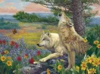 Пазл Серенада