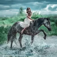 Пазл Серый конь