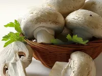 Пазл Шампиньоны