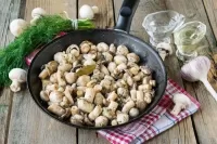 Пазл Шампиньоны