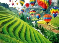 Пазл Шары над полем