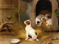 Пазл Щенки и птичка