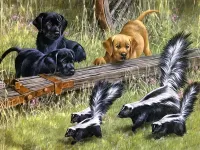 Пазл Щенки и скунсы