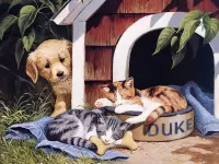 Пазл Щенок и котята