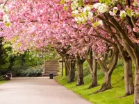 Пазл Шеффилд англия