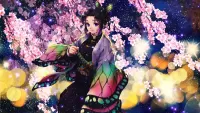 Пазл Shinobu Kochou
