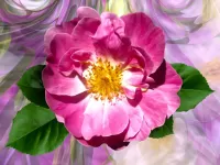 Пазл Шиповник