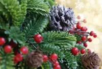 Пазл Шишка в инее