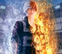 Пазл Shoto Todoroki