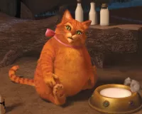 Пазл Шрековский кот