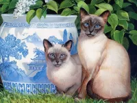 Пазл Сиамские коты