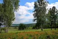Пазл Сибирское лето