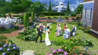 Пазл Sims