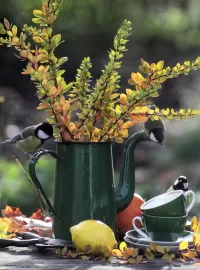 Пазл Синички