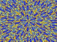 Пазл Синий и жёлтый