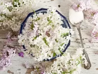 Пазл Сирень