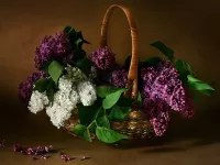 Пазл Сирень в корзинке