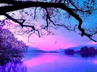 Пазл Сиреневые сумерки