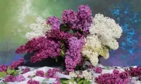 Пазл Сиреневые цветы