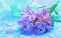 Пазл Сиреневые цветы