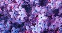 Пазл Сиреневые цветы