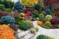 Пазл Скамейка в саду