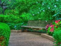 Пазл Скамейка в парке