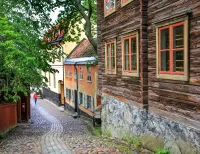 Пазл Скансен