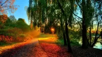 Пазл Сказочная красота