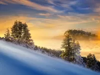 Пазл Сказочная зима