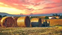 Пазл Скирды сена