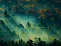 Пазл Сквозь туман