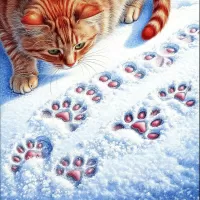 Пазл Следы