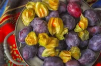 Пазл Сливы и физалис