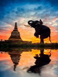 Пазл Слон и ступа