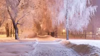 Пазл Снежная аллея