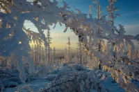 Пазл Снежная арка