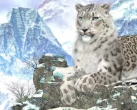 Пазл Снежный барс
