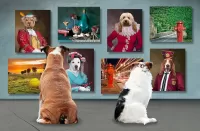 Пазл Собачья выставка 