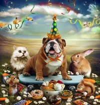 Пазл Собачья жизнь